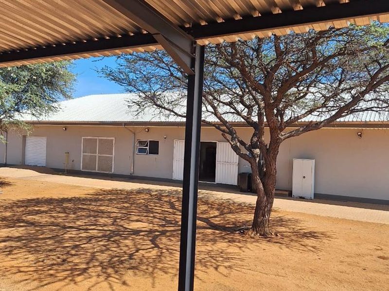 Cattle & Game Farm in the Hochfeld area. - Photo 5