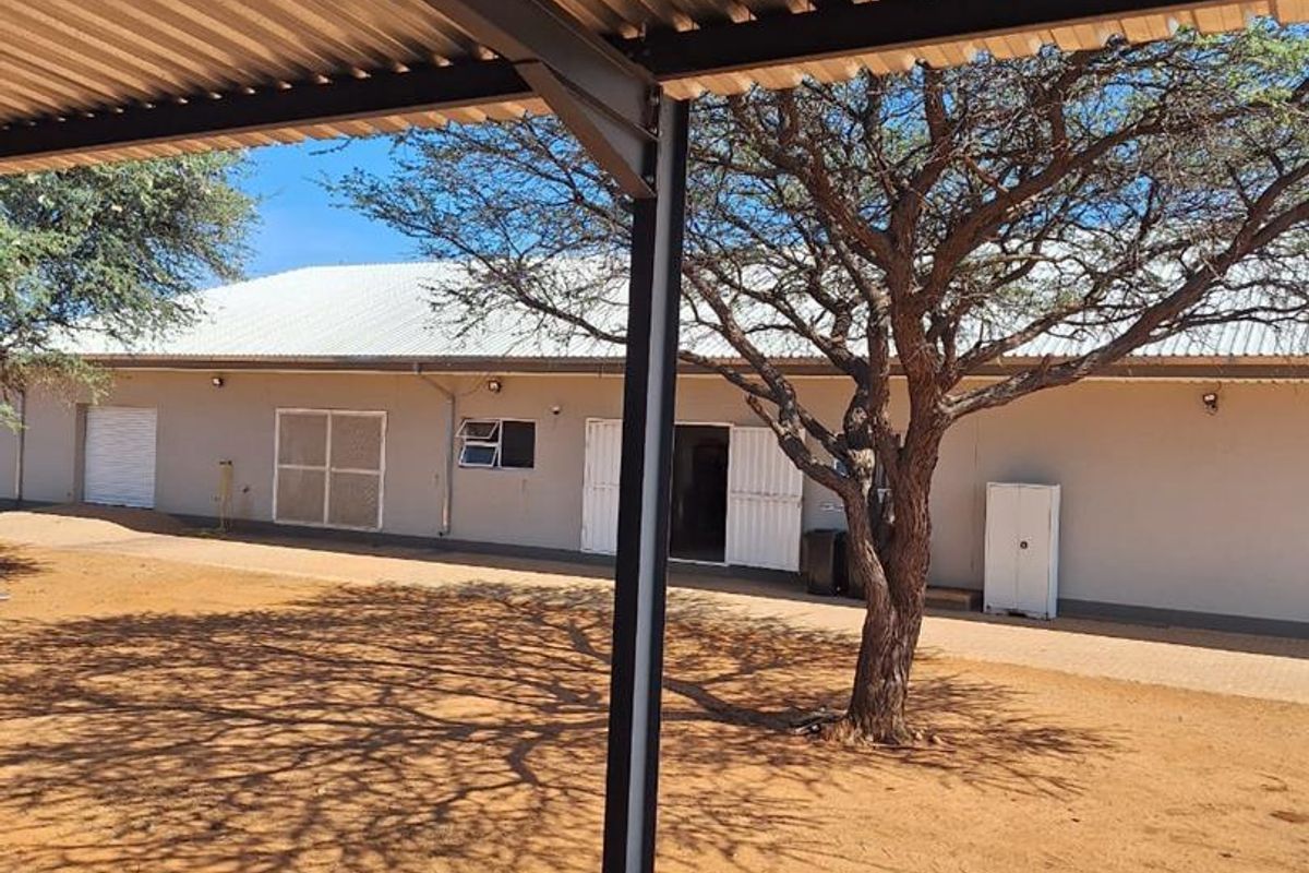 Cattle & Game Farm in the Hochfeld area. - Photo 5