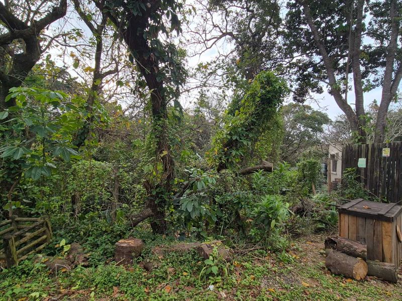 A densely vegetated residential plot featuring mature trees, a timber fence, and a security gate, offering a private setting for future development.