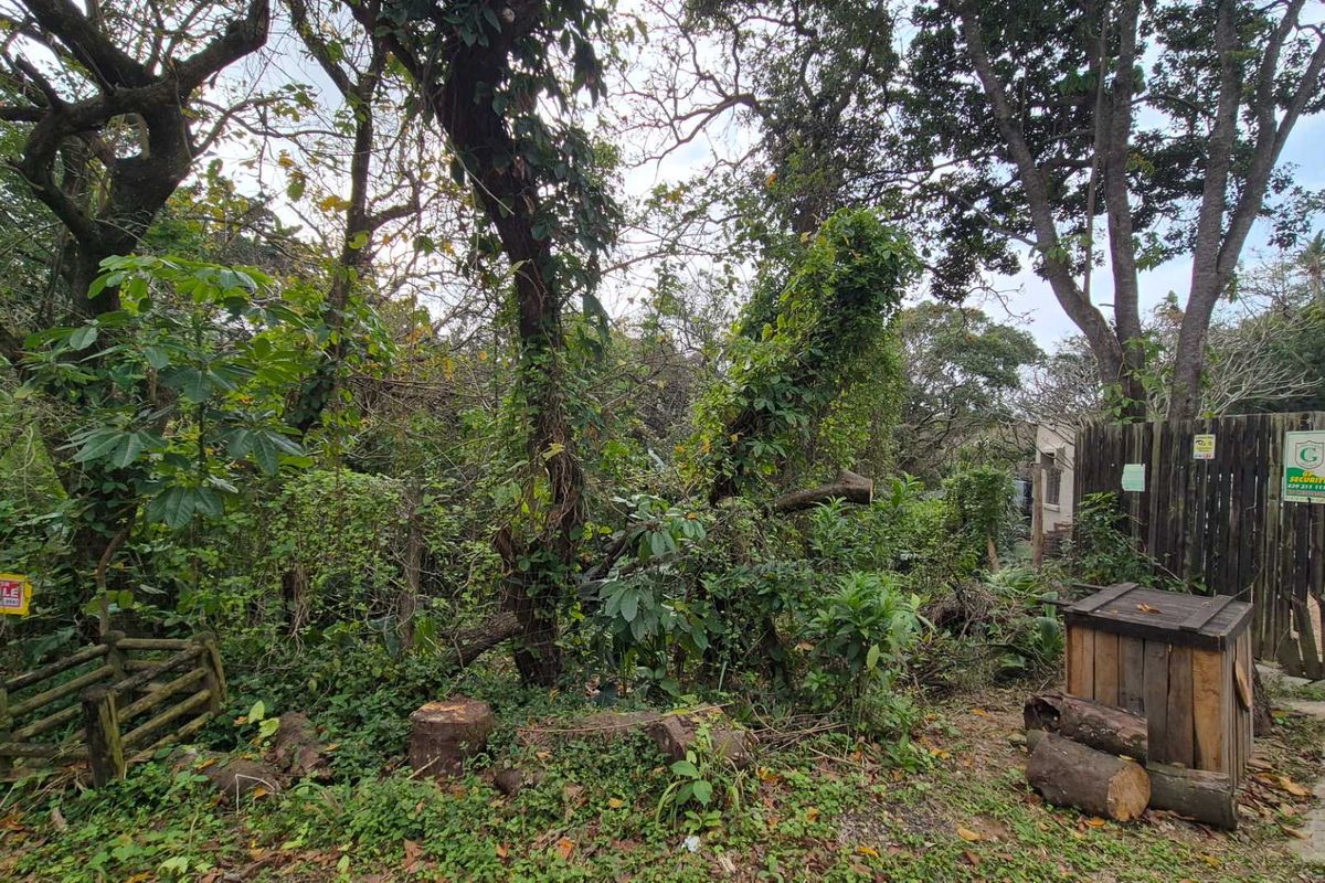 A densely vegetated residential plot featuring mature trees, a timber fence, and a security gate, offering a private setting for future development.