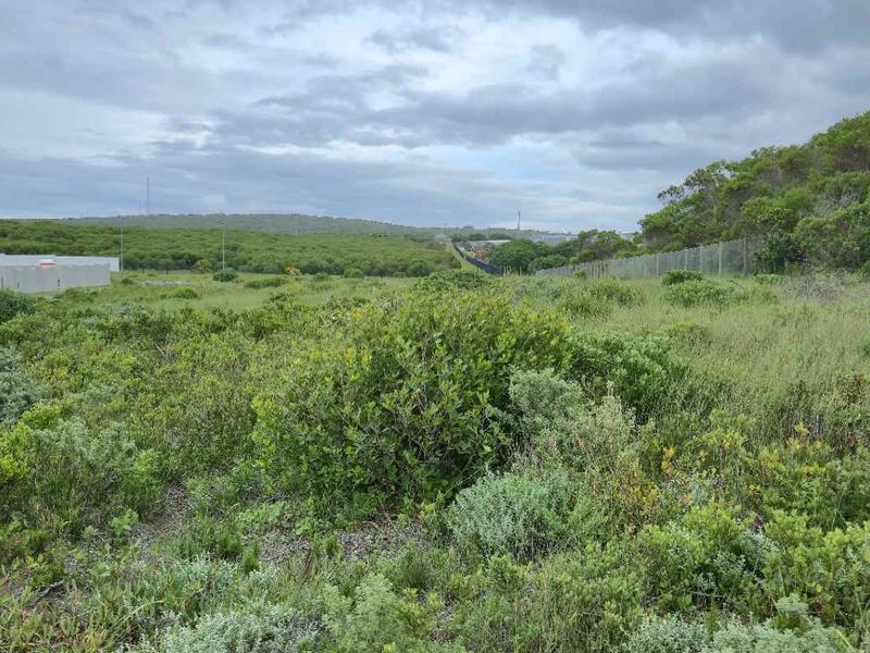 Build Your Coastal Dream Home in Kleinbaai's Fast-Growing Groenberg Suburb - Photo 5
