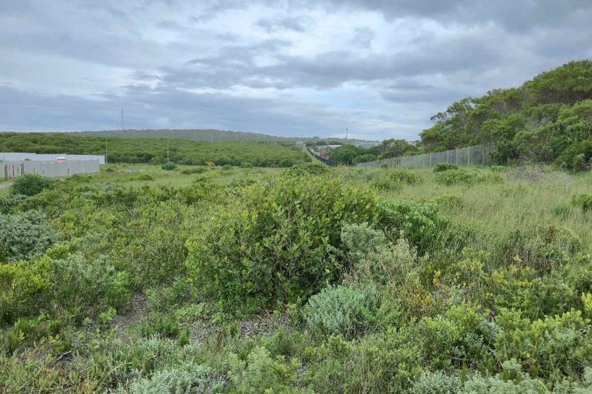 Build Your Coastal Dream Home in Kleinbaai's Fast-Growing Groenberg Suburb - Photo 5