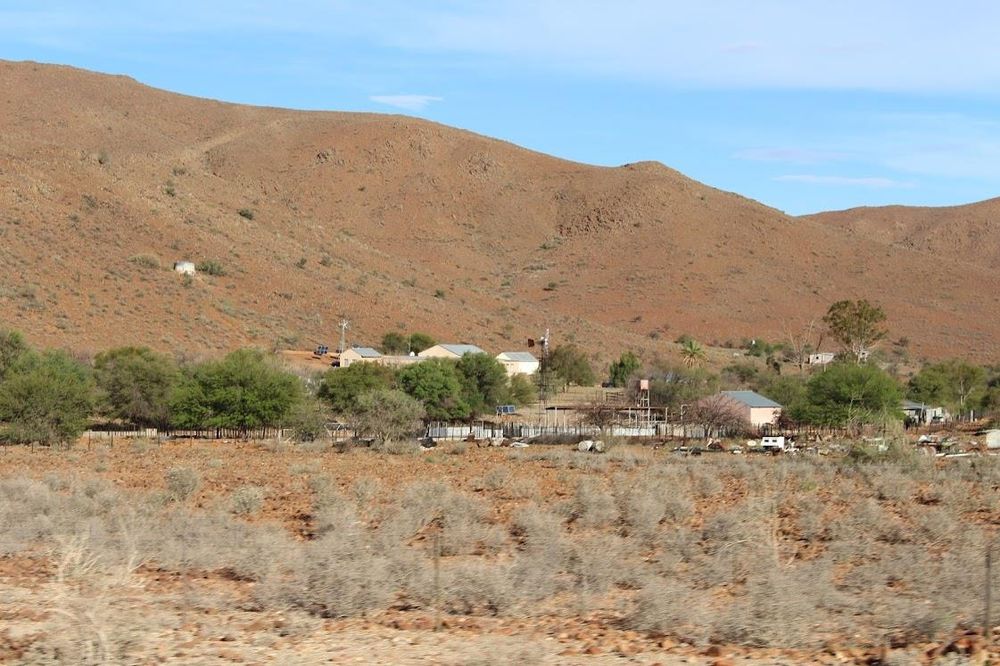 Green trees of the farm with the farm houses 