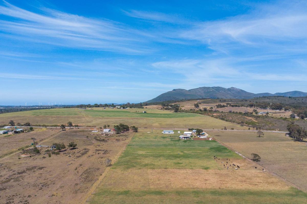 Dairy Farm for Sale, Eastern Cape - Photo 5