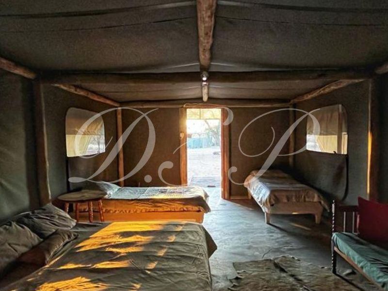 A rustic tented bedroom featuring canvas walls, exposed timber structural framing, and concrete flooring, providing a simple and authentic farm-style accommodation experience.
