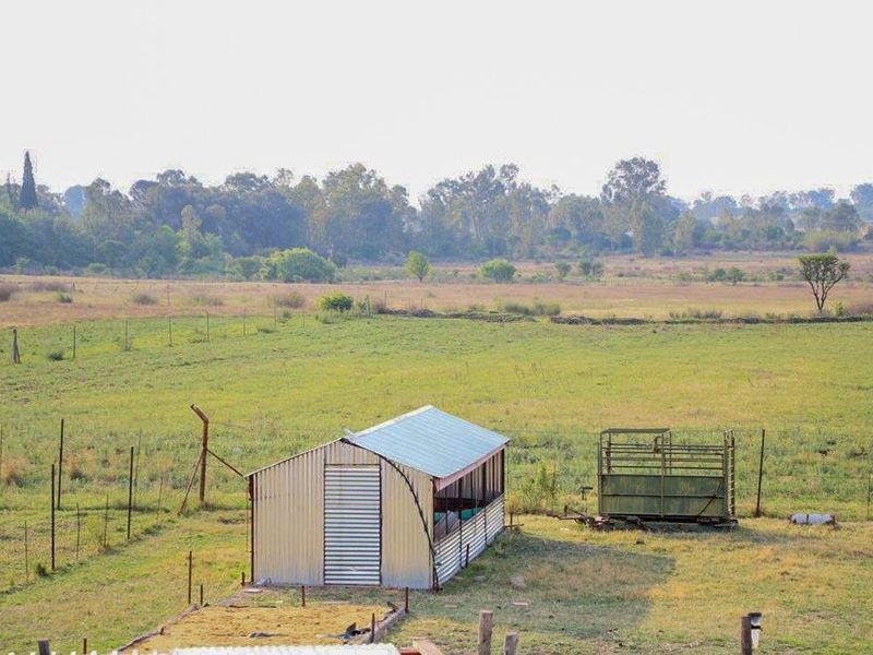 Countryside Smallholding for Sale in Koppies - Photo 7
