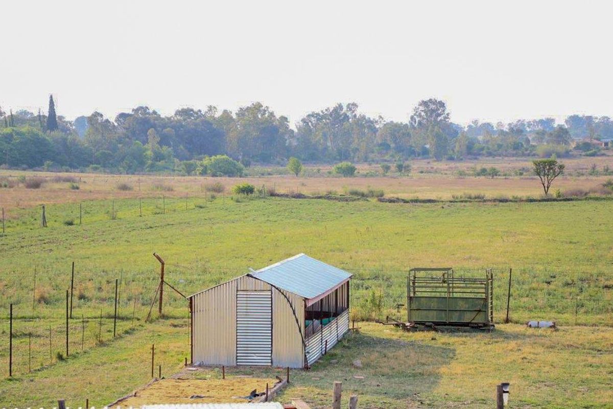 An elevated view of the small holding property featuring open grazing land, a corrugated metal shed, and livestock handling infrastructure.
