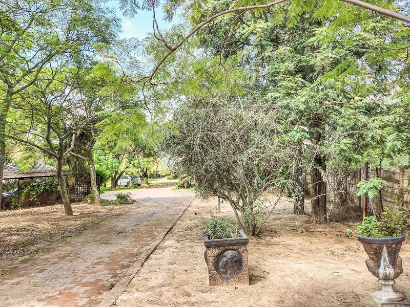 Country Living Meets Investment Opportunity in North Riding Equestrian Estate - Photo 6