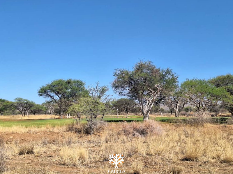 FOR SALE | N$790 500.00 | OMEYA ERF 112 - Photo 2