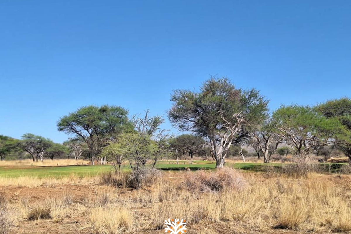 FOR SALE | N$790 500.00 | OMEYA ERF 112 - Photo 2