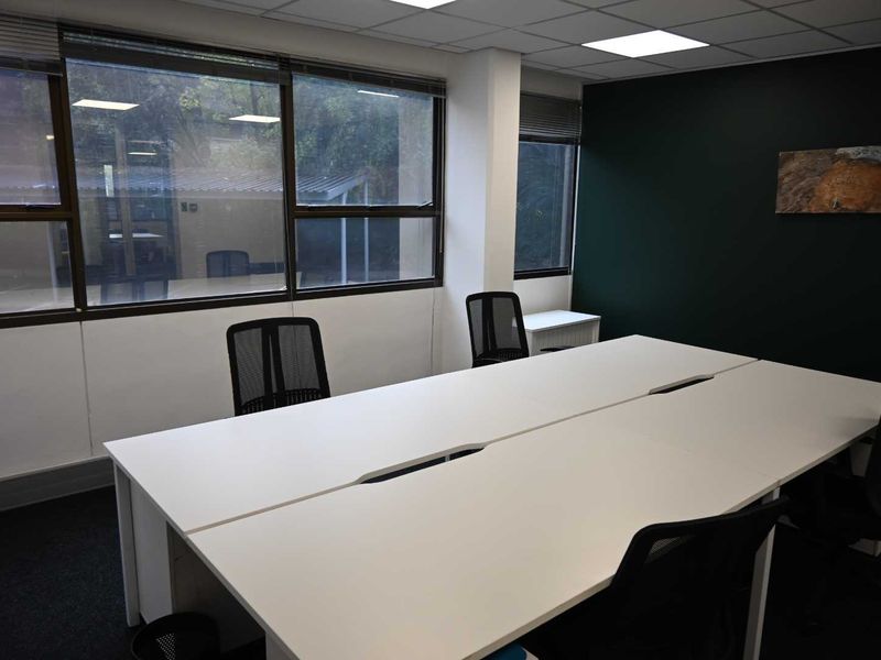 A functional office space featuring large windows for natural light, a suspended ceiling with recessed lighting, and dark carpet flooring.