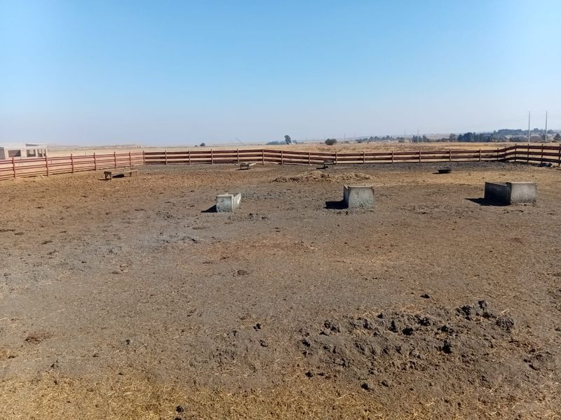 Kraal & Grazing Land to Rent – Withok Estate, Brakpan - Photo 5