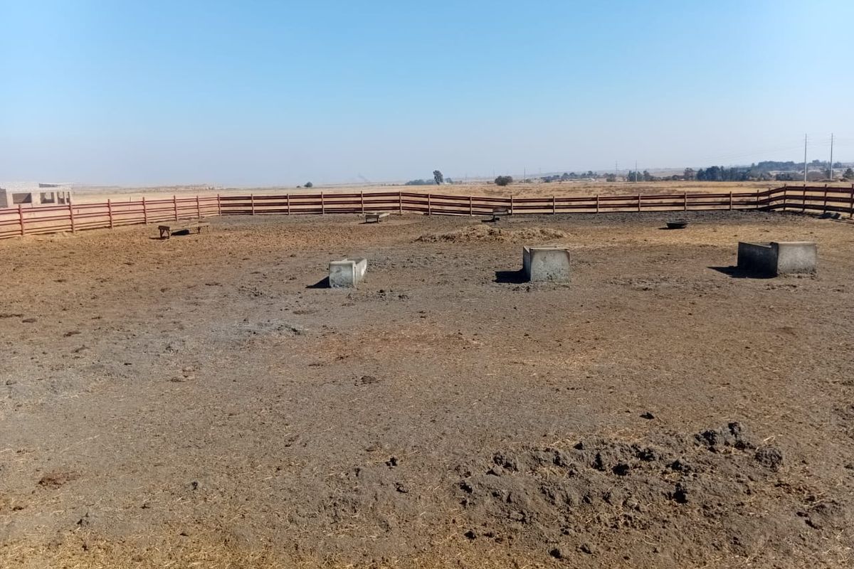 Kraal & Grazing Land to Rent – Withok Estate, Brakpan - Photo 5