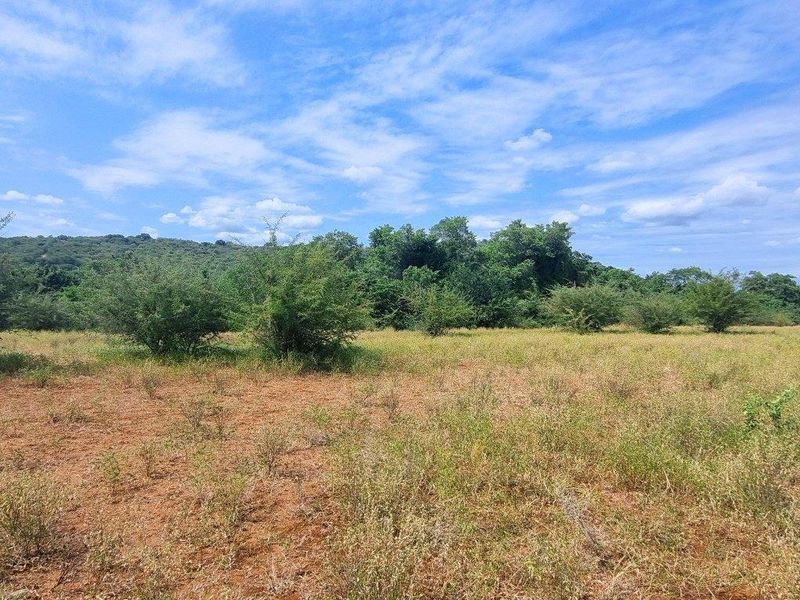 Vacant Stand in Elephant Rock Eco Estate - Photo 2