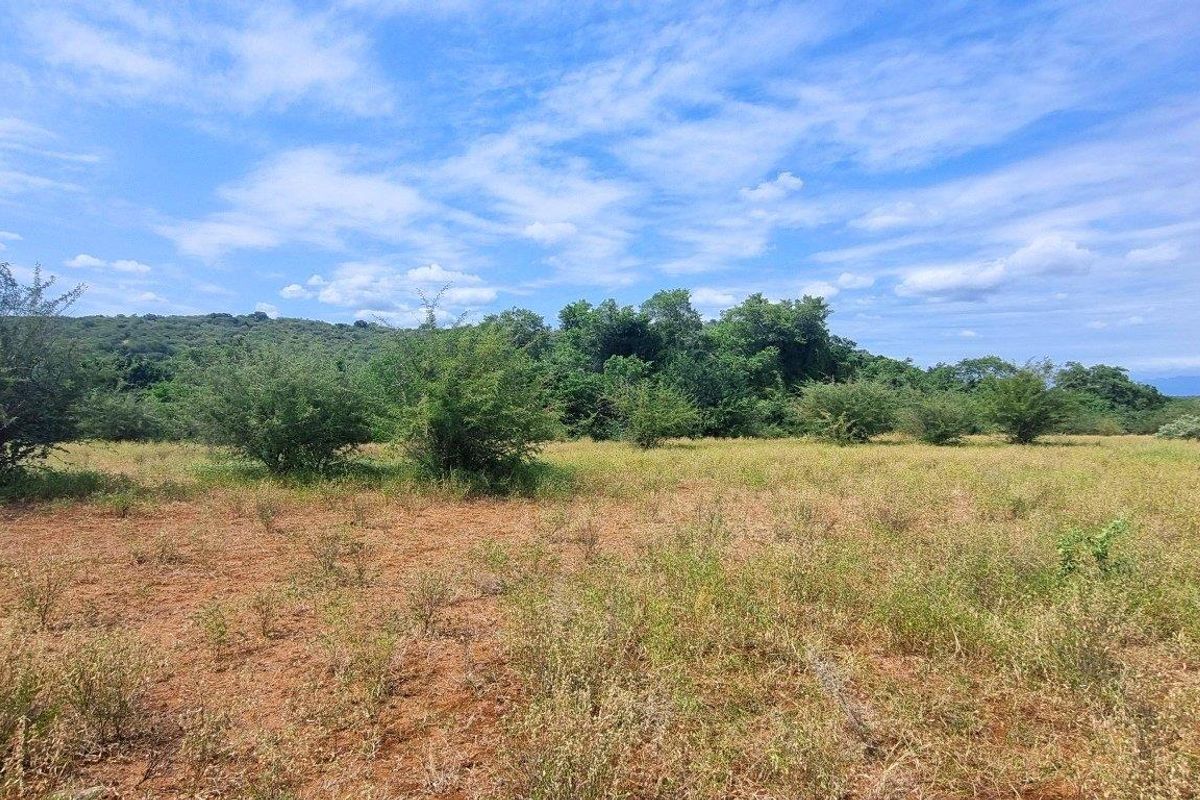 Vacant Stand in Elephant Rock Eco Estate - Photo 2