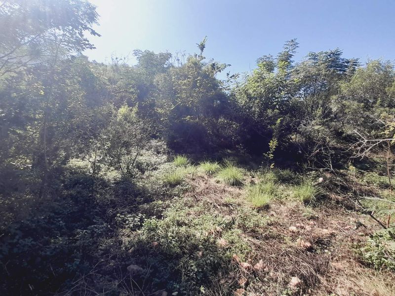 "Kosmos Ridge: Luxury Living with Nature's Backdrop!" - Photo 9