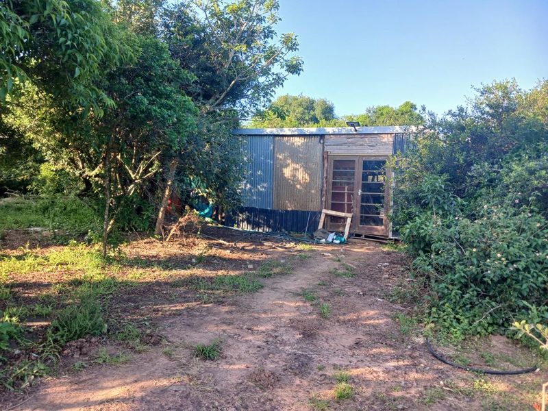 A view of a small, rustic structure with corrugated metal siding and timber-framed glass doors, situated within an overgrown, natural garden setting.