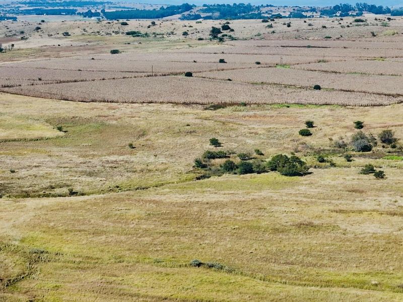 Farm for sale in the Vryheid area. - Photo 9