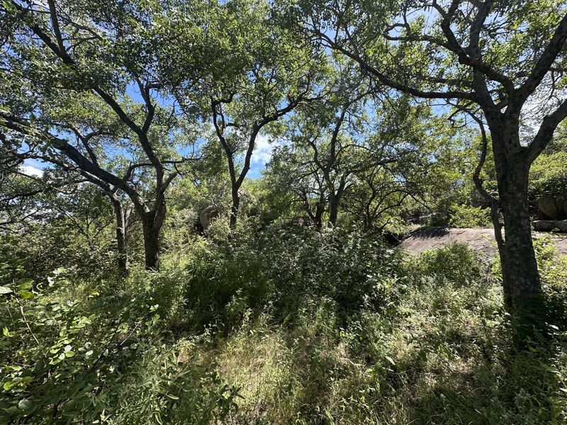 Secure a stunning stand in the bush in this pet friendly and exclusive reserve. - Photo 3