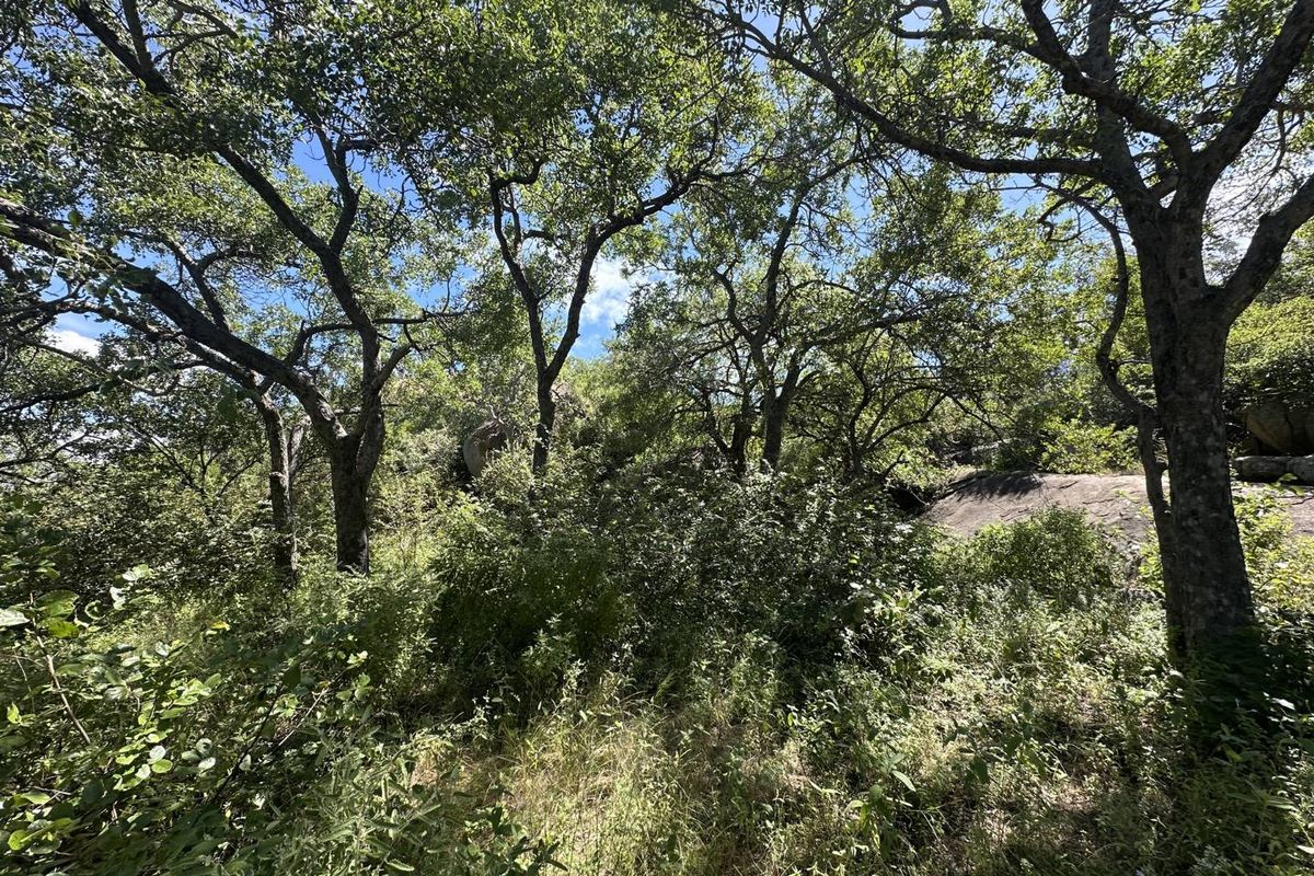 Secure a stunning stand in the bush in this pet friendly and exclusive reserve. - Photo 3