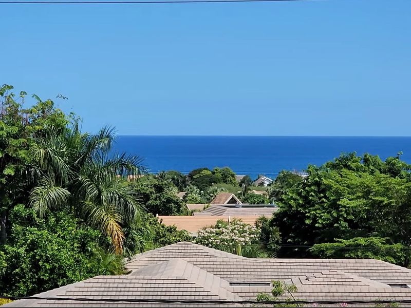 A scenic elevated view overlooking the surrounding neighborhood with a clear horizon line of the ocean in the distance.