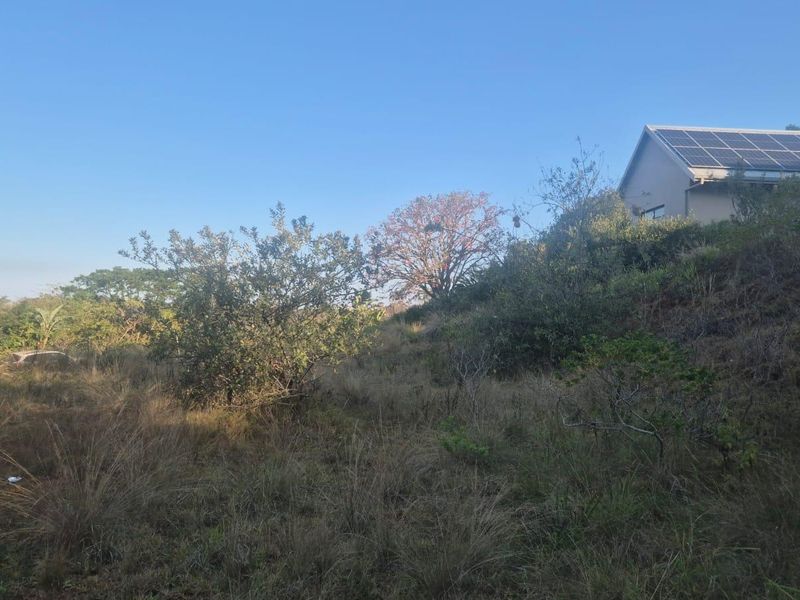 A view of the sloped, undeveloped residential land with natural vegetation and a neighboring property featuring solar panels visible in the background.