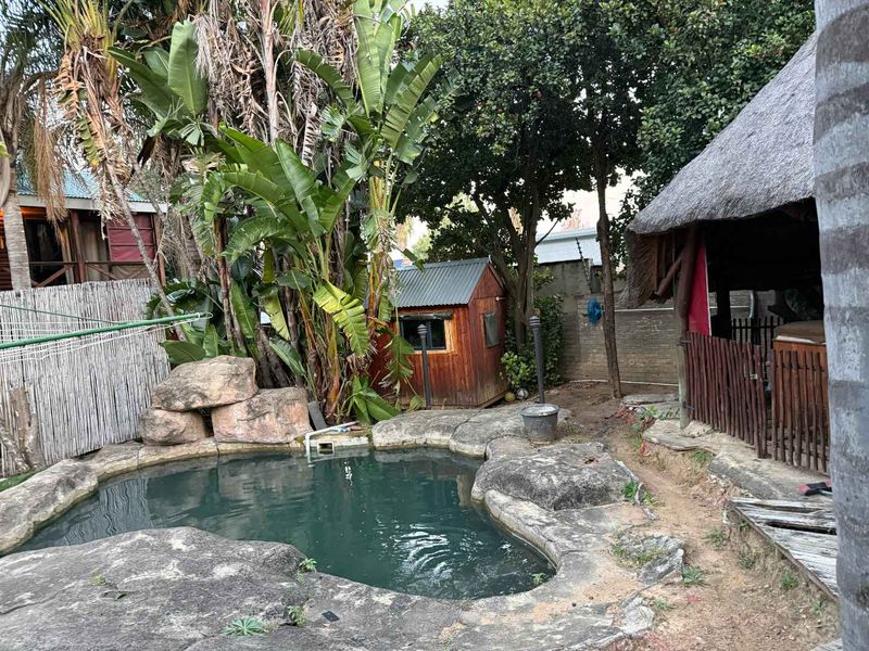 Outdoor pool area featuring a rock-edged swimming pool, a thatched lapa, and a small wooden garden shed in a natural, landscaped setting.
