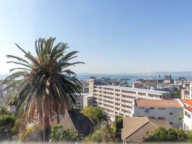 Elevated urban and coastal view overlooking the city skyline, harbour, and surrounding residential rooftops.