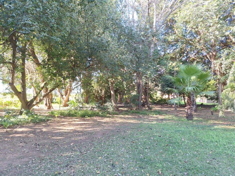 REDUCED! TRANQUIL LIVING - ADDO - Photo 2