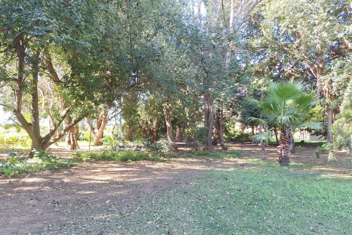 REDUCED! TRANQUIL LIVING - ADDO - Photo 2