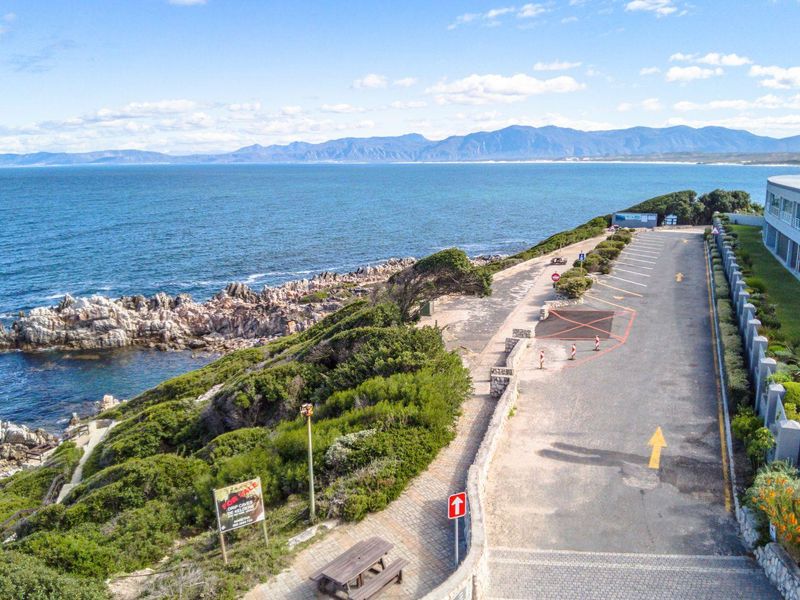 Catch of the Day - Photo 3