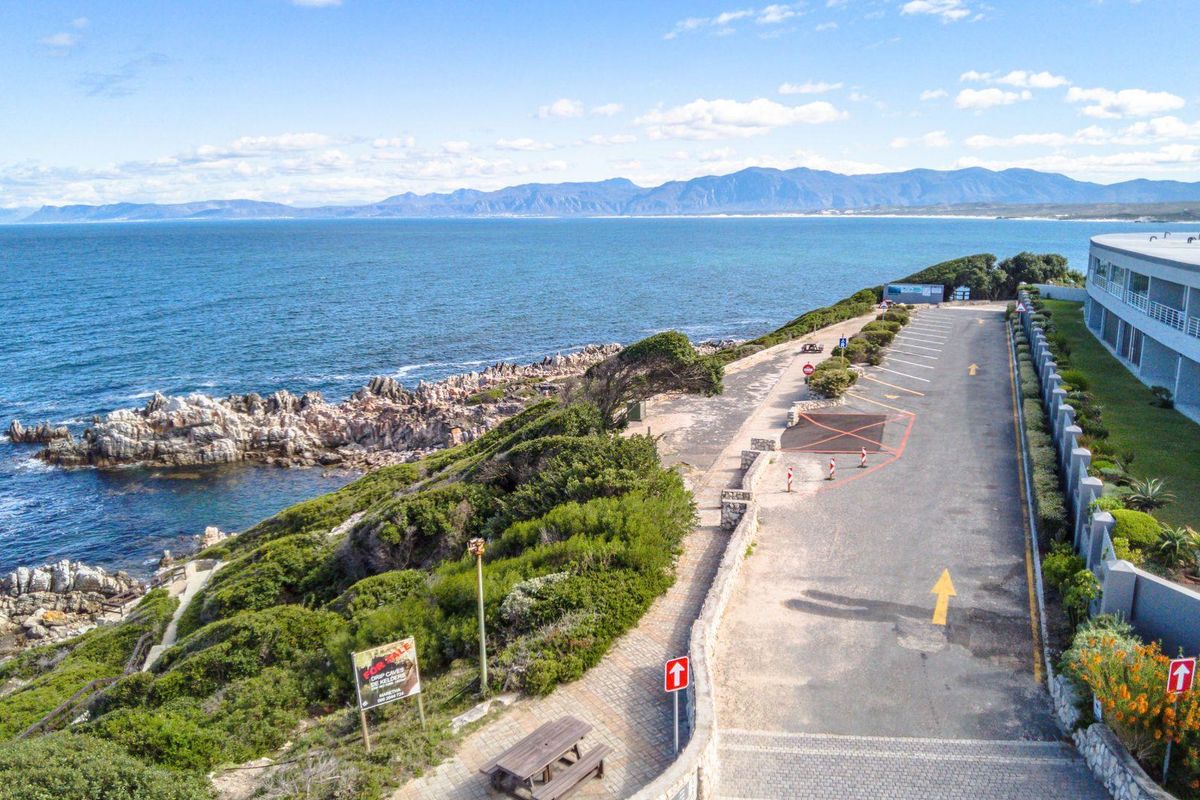 Catch of the Day - Photo 3