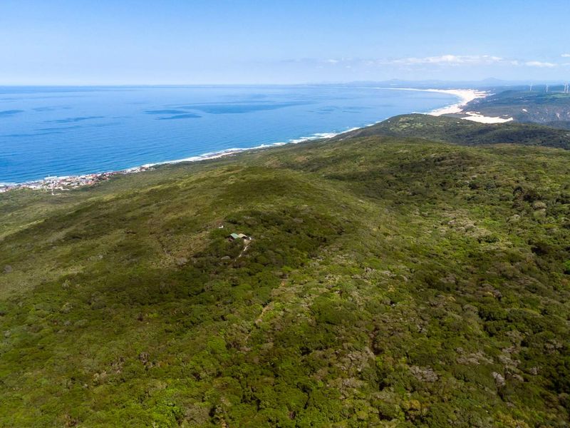 One of the Last Coastal Development Opportunities in Seaview | 25ha with Planning Work Already Done - Photo 7