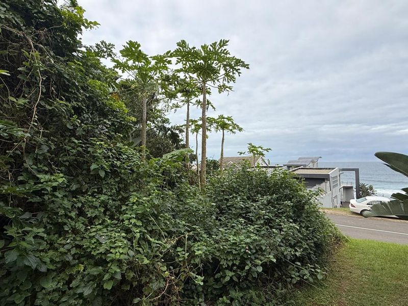 Vacant land in Tinley Manor - Photo 8