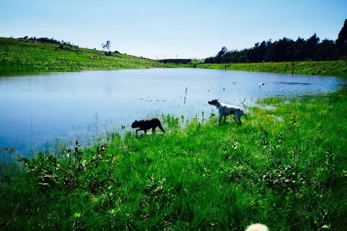 Farm for sale in Louwsburg - Photo 4