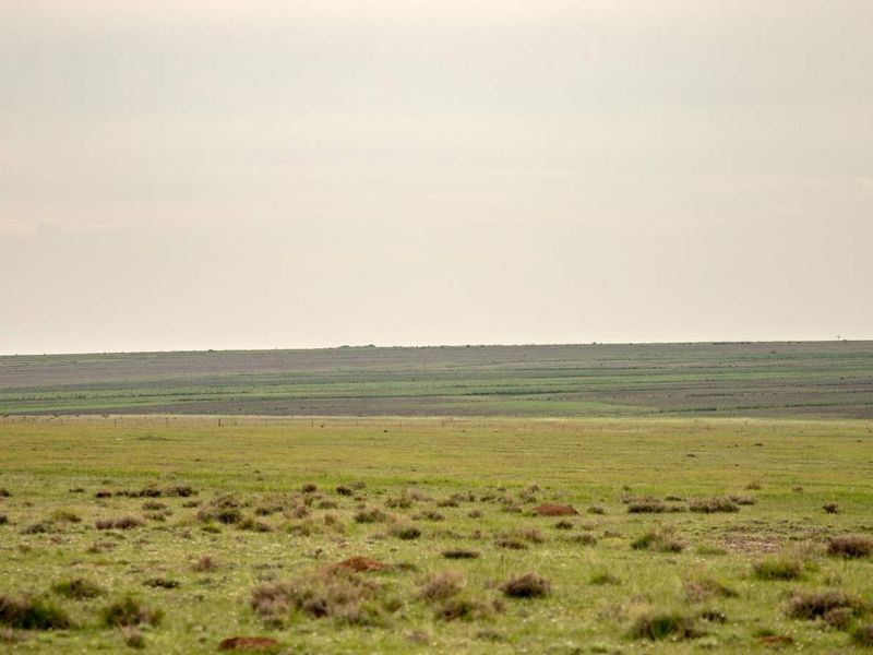 A RARE HOSPITALITY INVESTMENT-FARM WITH WEDDING VENUE, BAR, GUESTHOUSE - ALL-IN-ONE - Photo 5