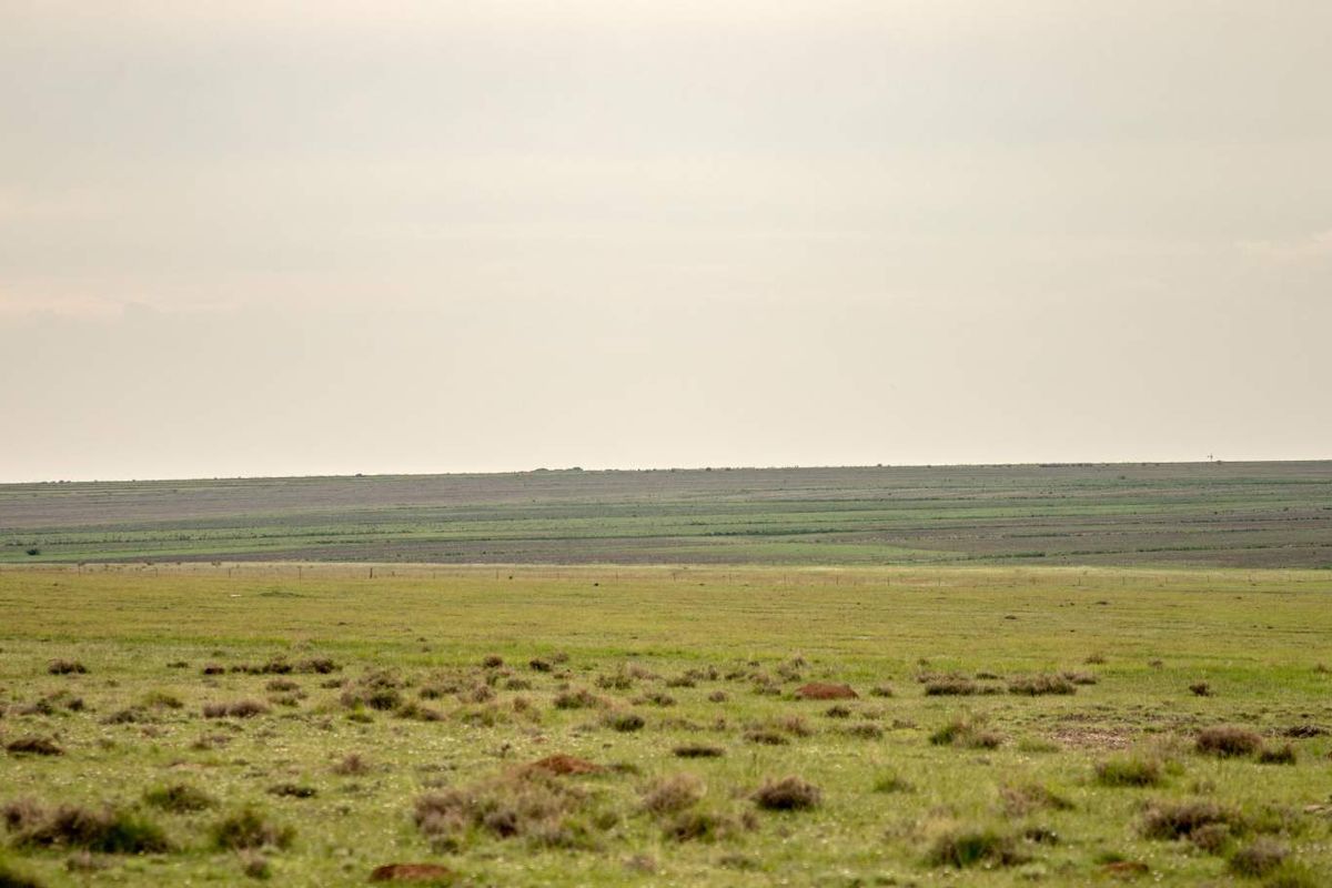 A RARE HOSPITALITY INVESTMENT-FARM WITH WEDDING VENUE, BAR, GUESTHOUSE - ALL-IN-ONE - Photo 5