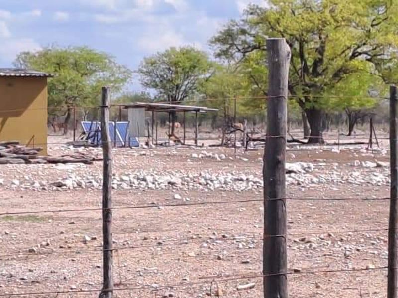 COMMERCIAL FARM FOR SALE IN TSUMEB DISTRICT - Photo 4
