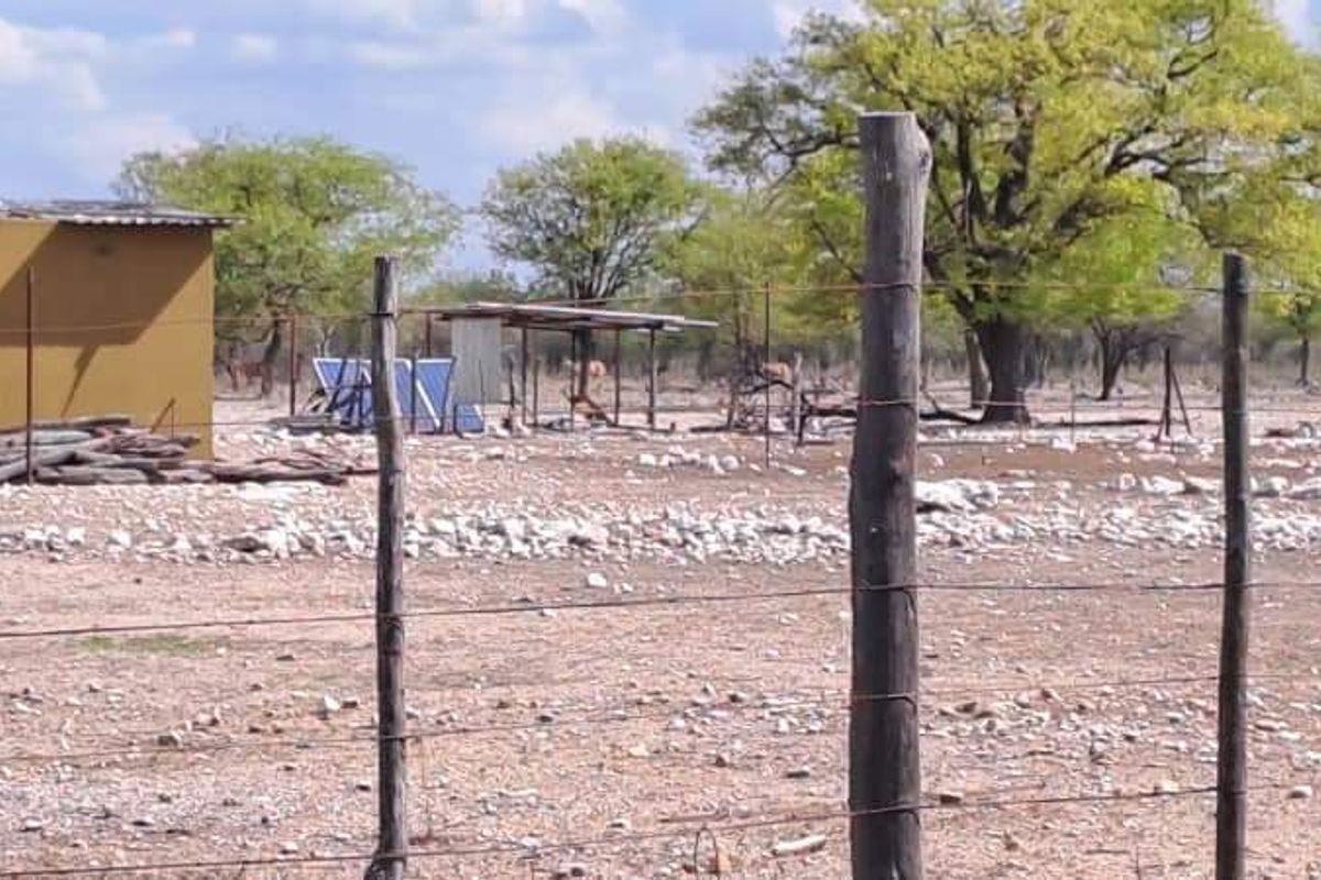 COMMERCIAL FARM FOR SALE IN TSUMEB DISTRICT - Photo 4