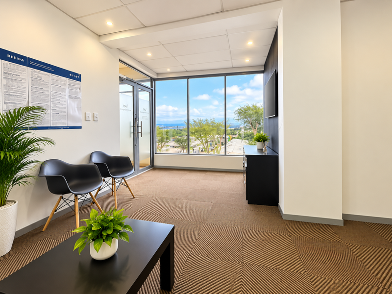 A bright, modern office reception area featuring carpeted flooring, a suspended ceiling with recessed lighting, and large windows offering an expansive exterior view.