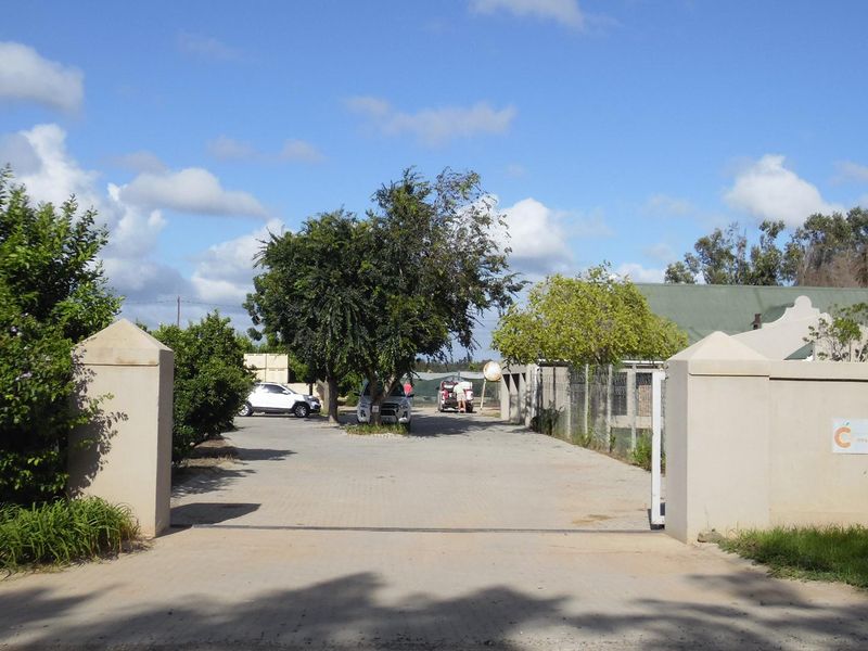 Sunland - 6.99 ha Citrus - Farm for sale - 2 Houses - Photo 3