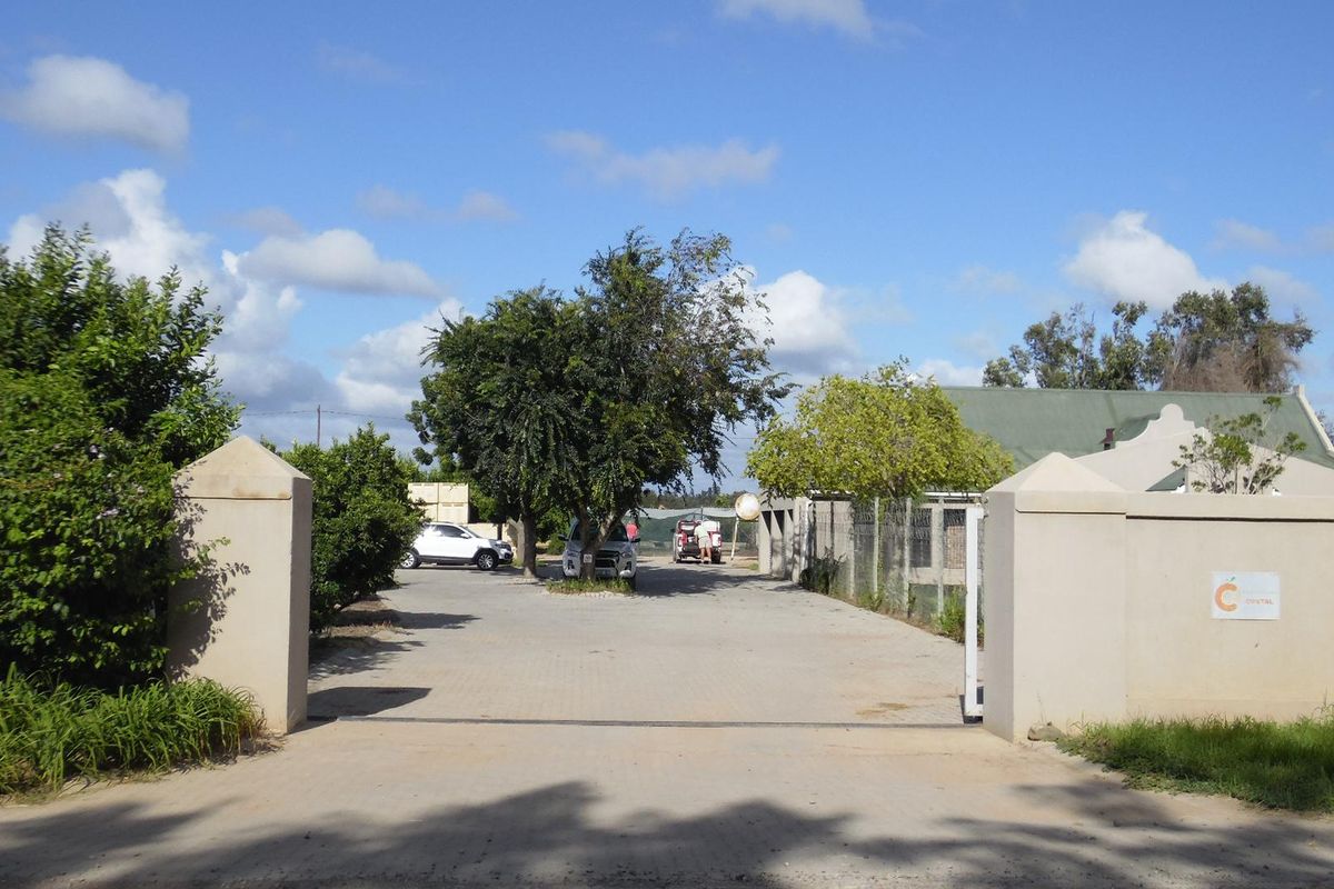 Sunland - 6.99 ha Citrus - Farm for sale - 2 Houses - Photo 3