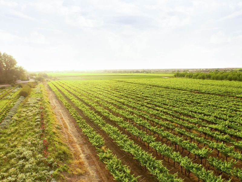 Naftali Lifestyle Estate - Photo 4