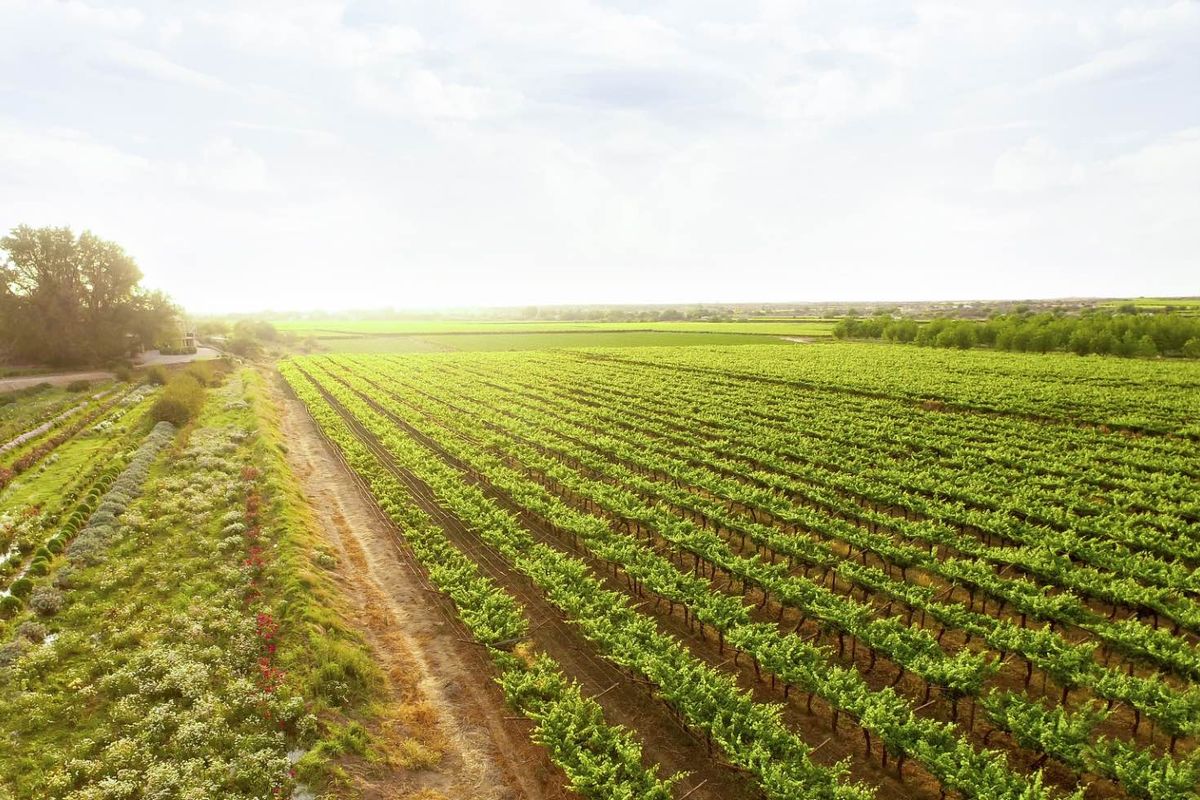 Naftali Lifestyle Estate - Photo 4