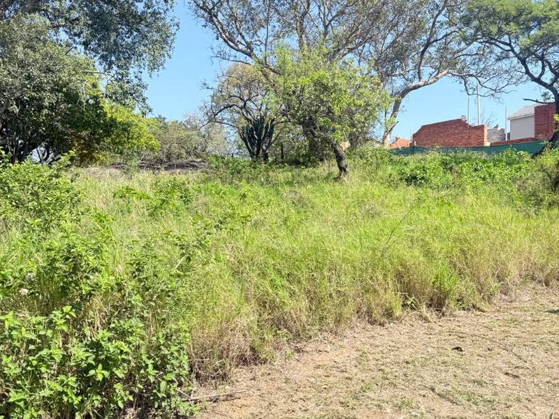 A view of a vacant residential plot featuring natural vegetation and mature trees, offering a blank canvas for future development.