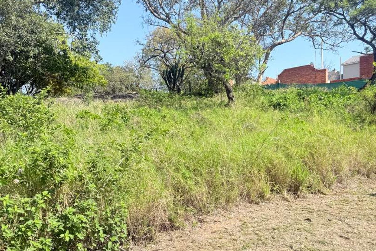 A view of a vacant residential plot featuring natural vegetation and mature trees, offering a blank canvas for future development.