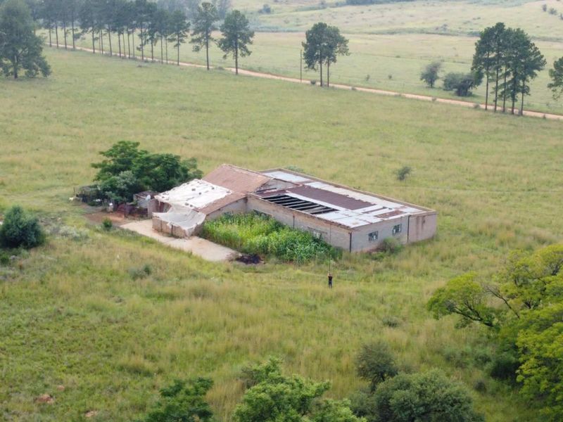 This Beautiful Stand/Farm is situated in the Heart of The Cradle of Humankind. - Photo 10