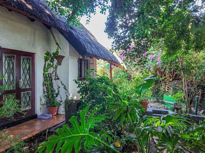 This charming and distinctive home could be your dream property. - Photo 5