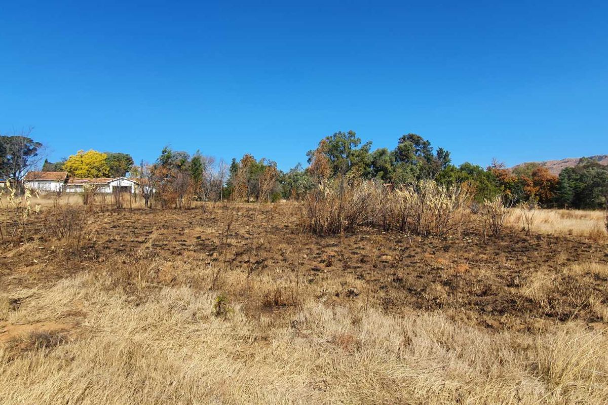 A view of a vacant residential plot featuring natural vegetation and signs of recent fire damage to the landscape.