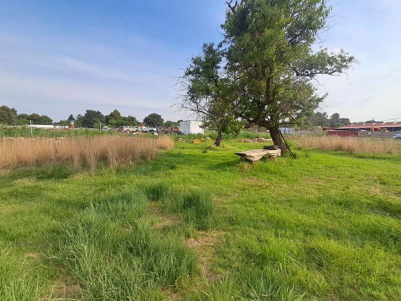 A view of the expansive garden area on the small holding, featuring established trees and open grass space.